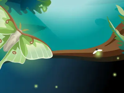 Illustration of a luna moth in an evening nature scene